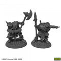 Reaper Dungeon Dwellers - Orcs of the Ragged Wound Leaders (2) - 07014