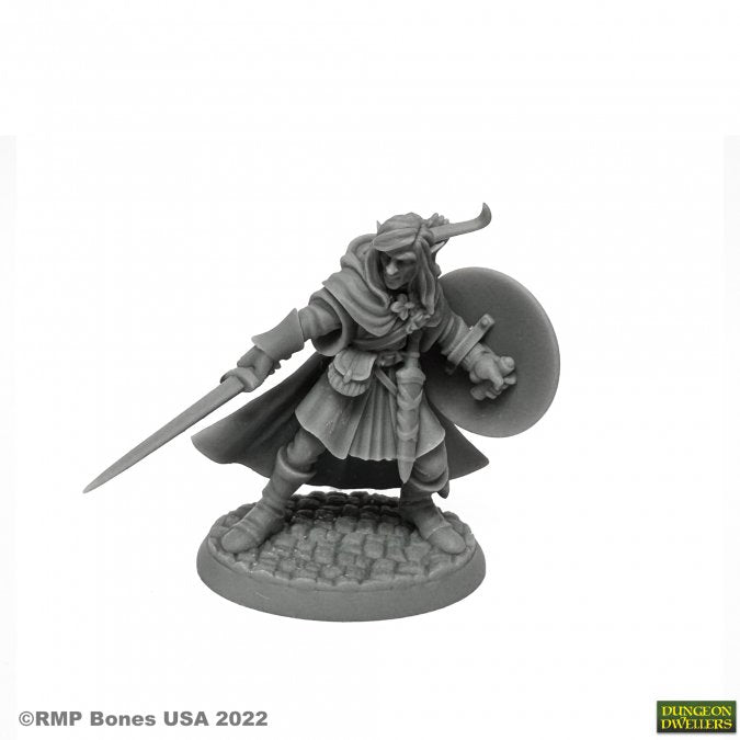 Reaper Dungeon Dwellers - Mellonir Windrunner, Elf Warrior - 07026