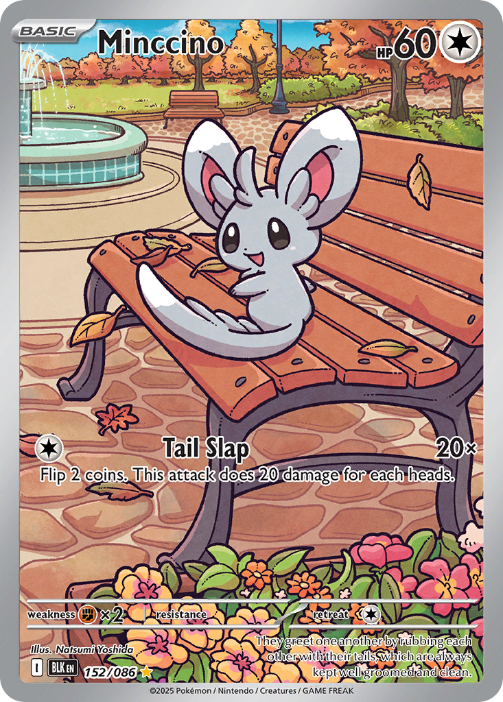 Minccino (Black Bolt) 152