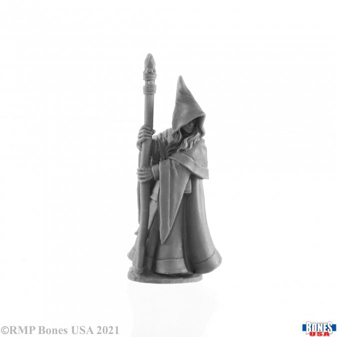 Reaper Legends - Anirion, Elf Wizard - 30027