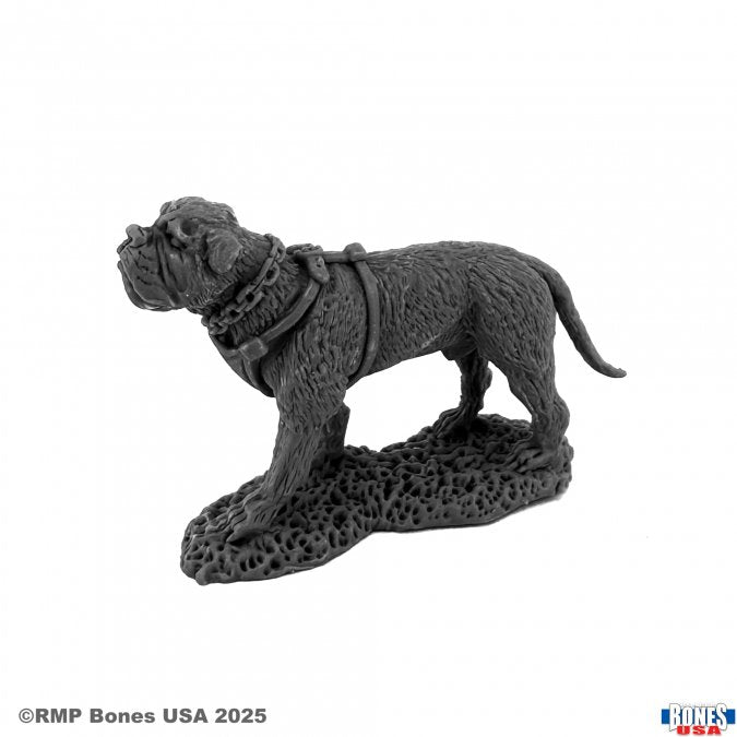 Reaper Legends - Garr, War Dog - 30203